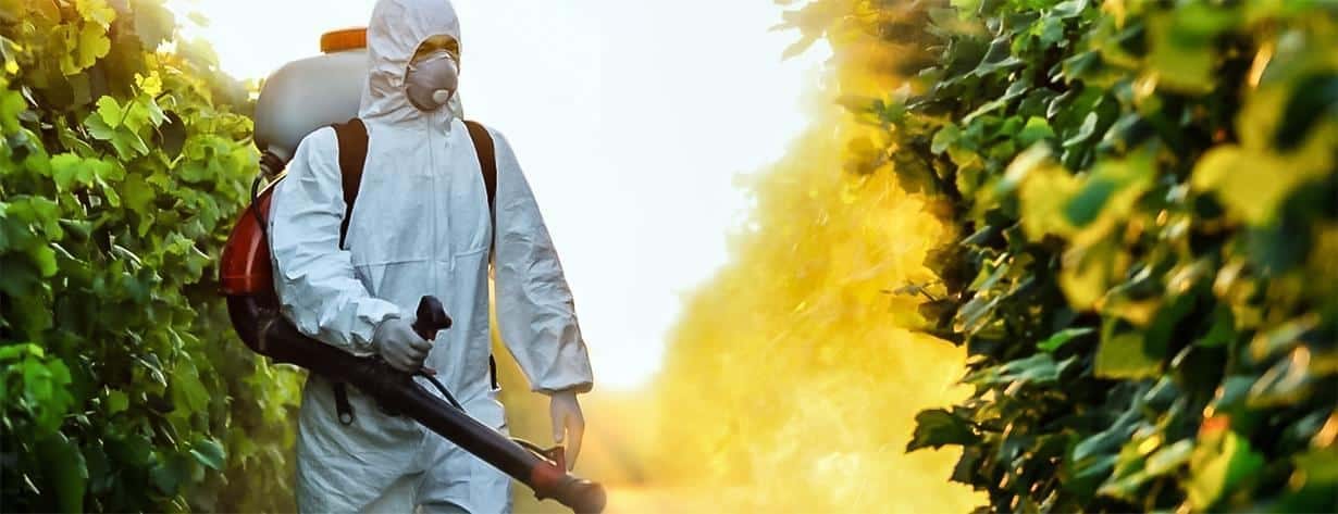 disinfestatore in giardino